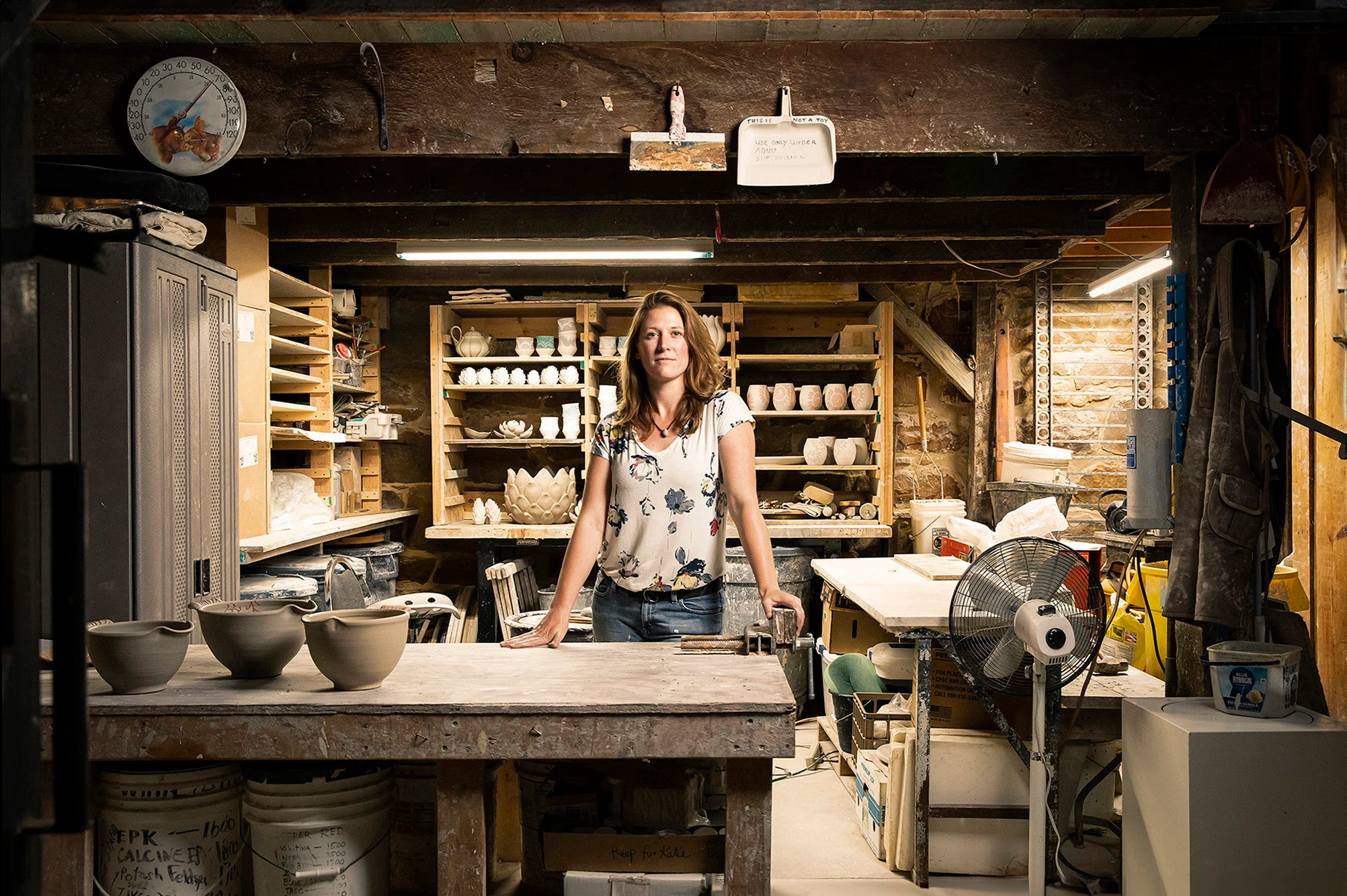 Driftless Artists: Portraits from Wisconsin's Driftless Region image 3