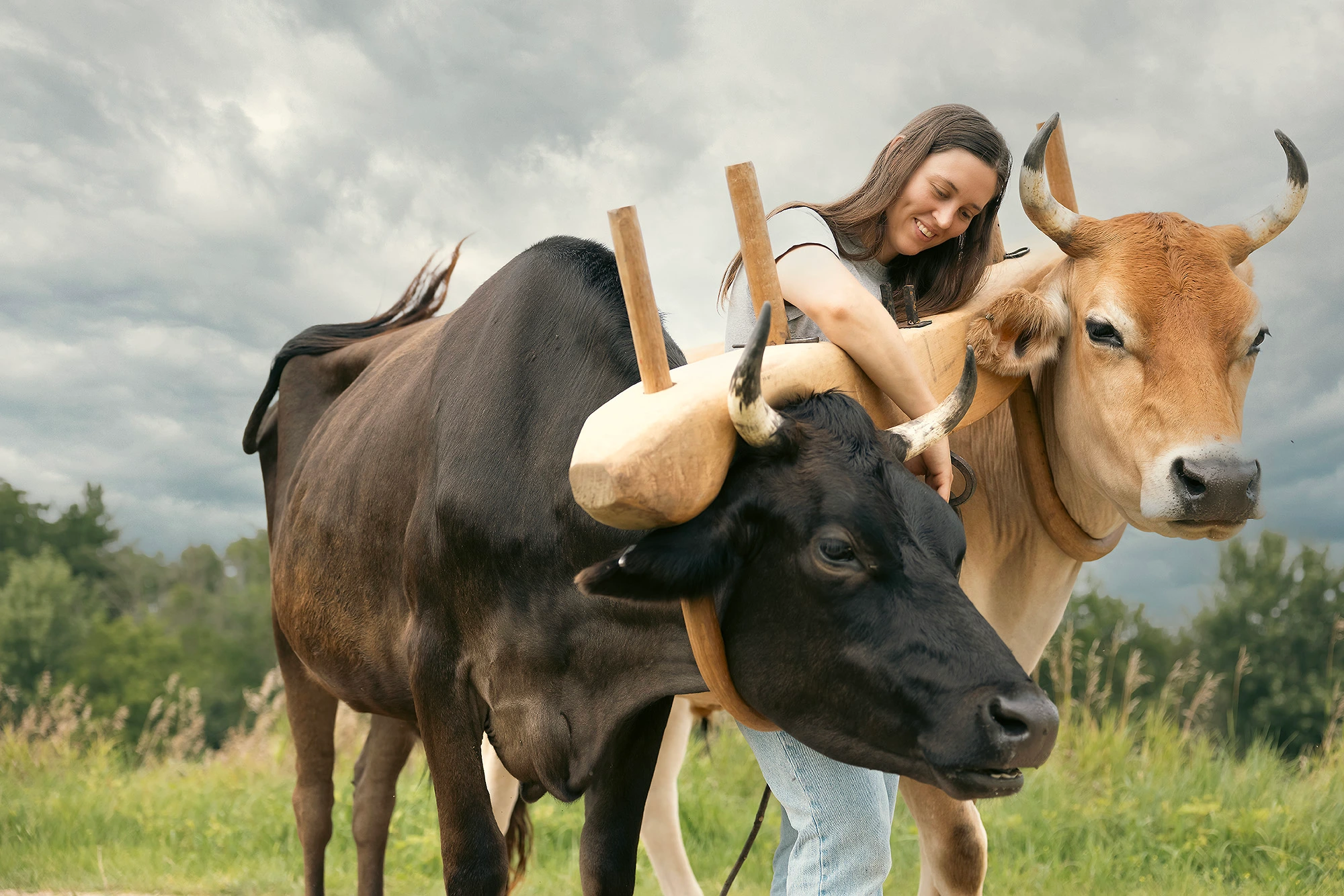 Driftless Artists: Portraits from Wisconsin's Driftless Region image 5