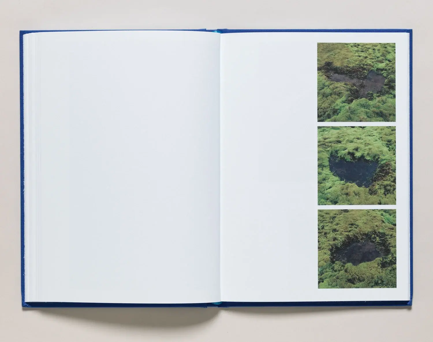 A Place to Disappear image 11