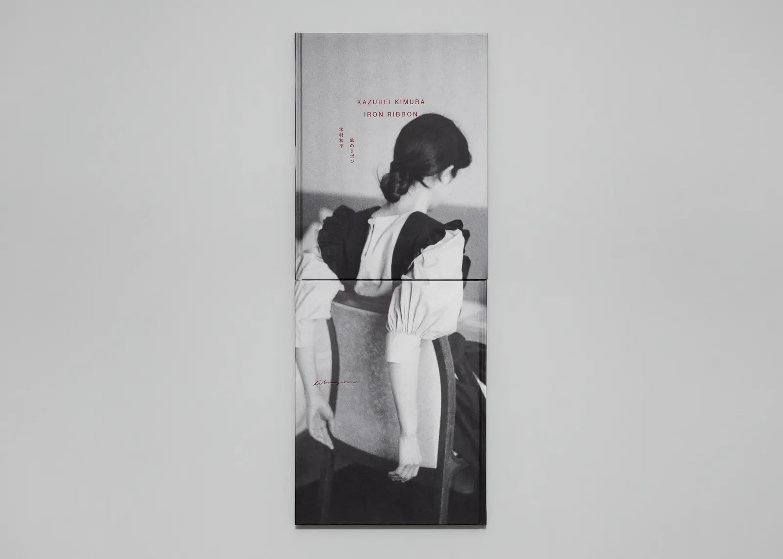 Iron Ribbon image 9