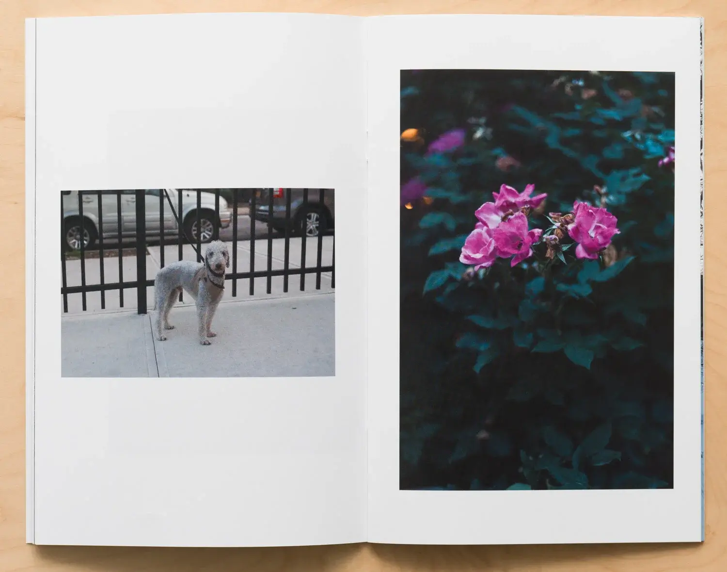 A Setting Sun Vol 01 image 6