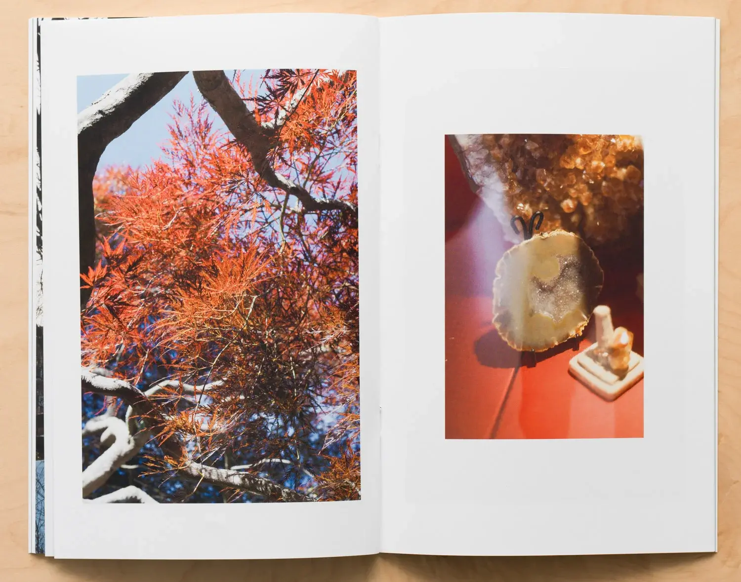 A Setting Sun Vol 01 image 8