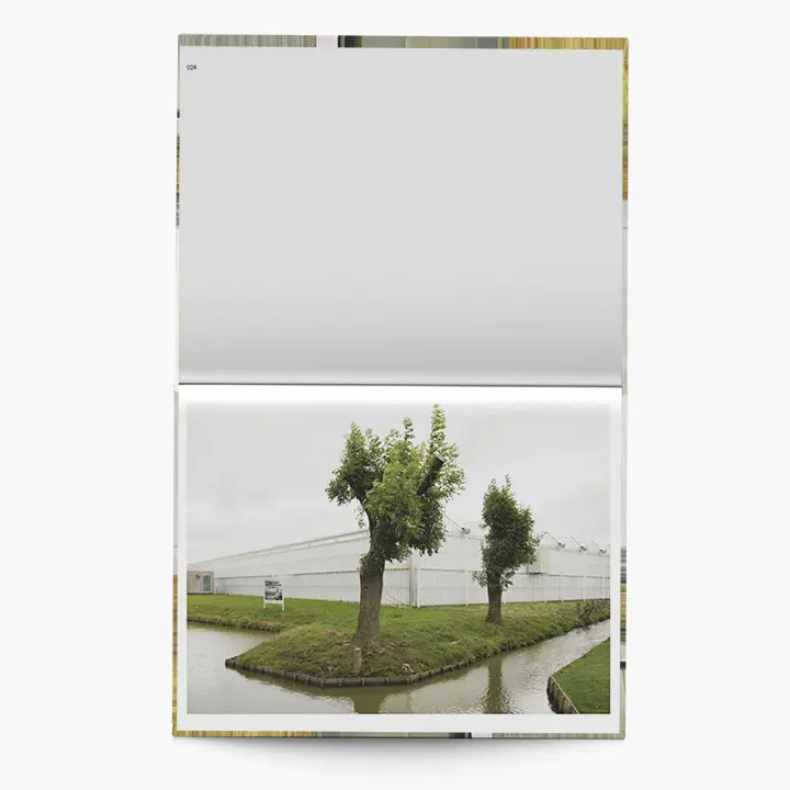 Flatlands image 9