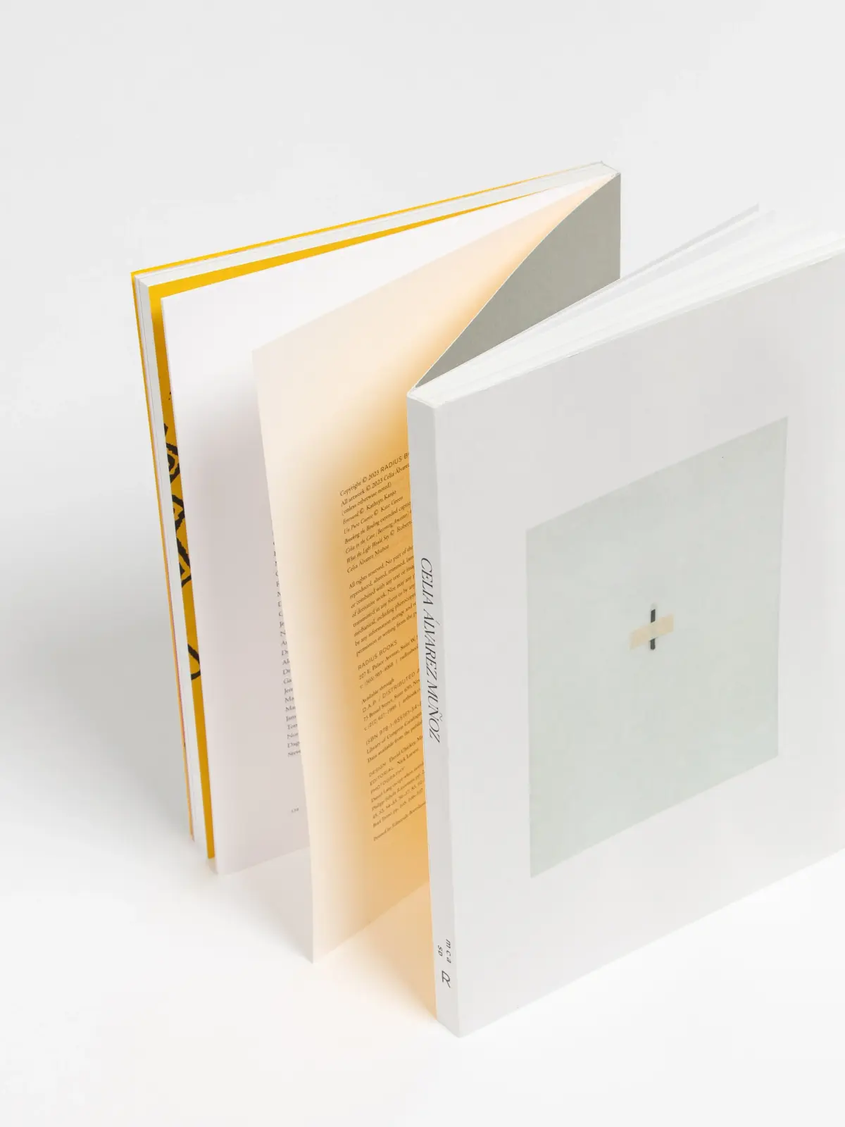 Breaking the Binding image 3