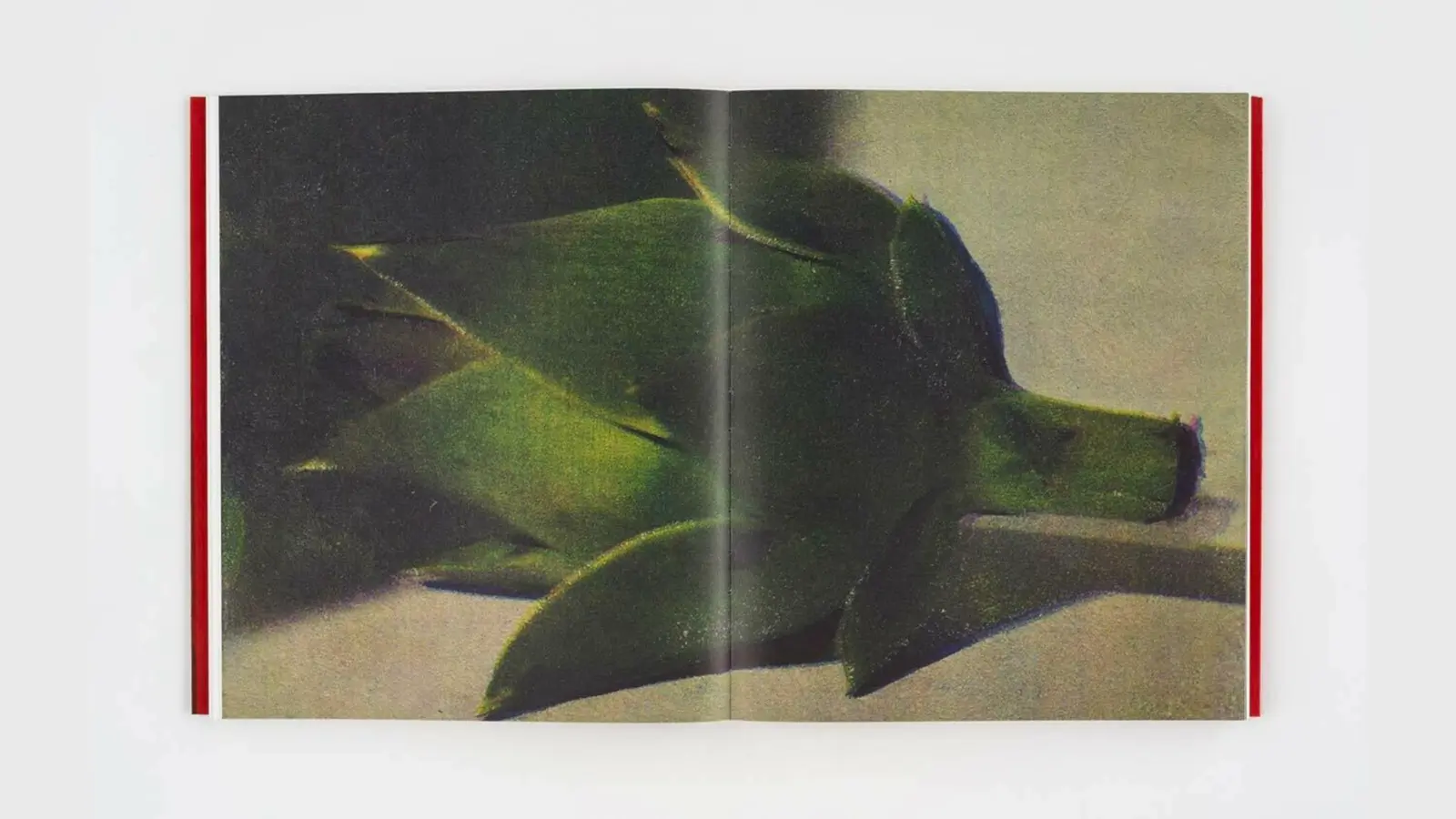Poppy Jones image 7