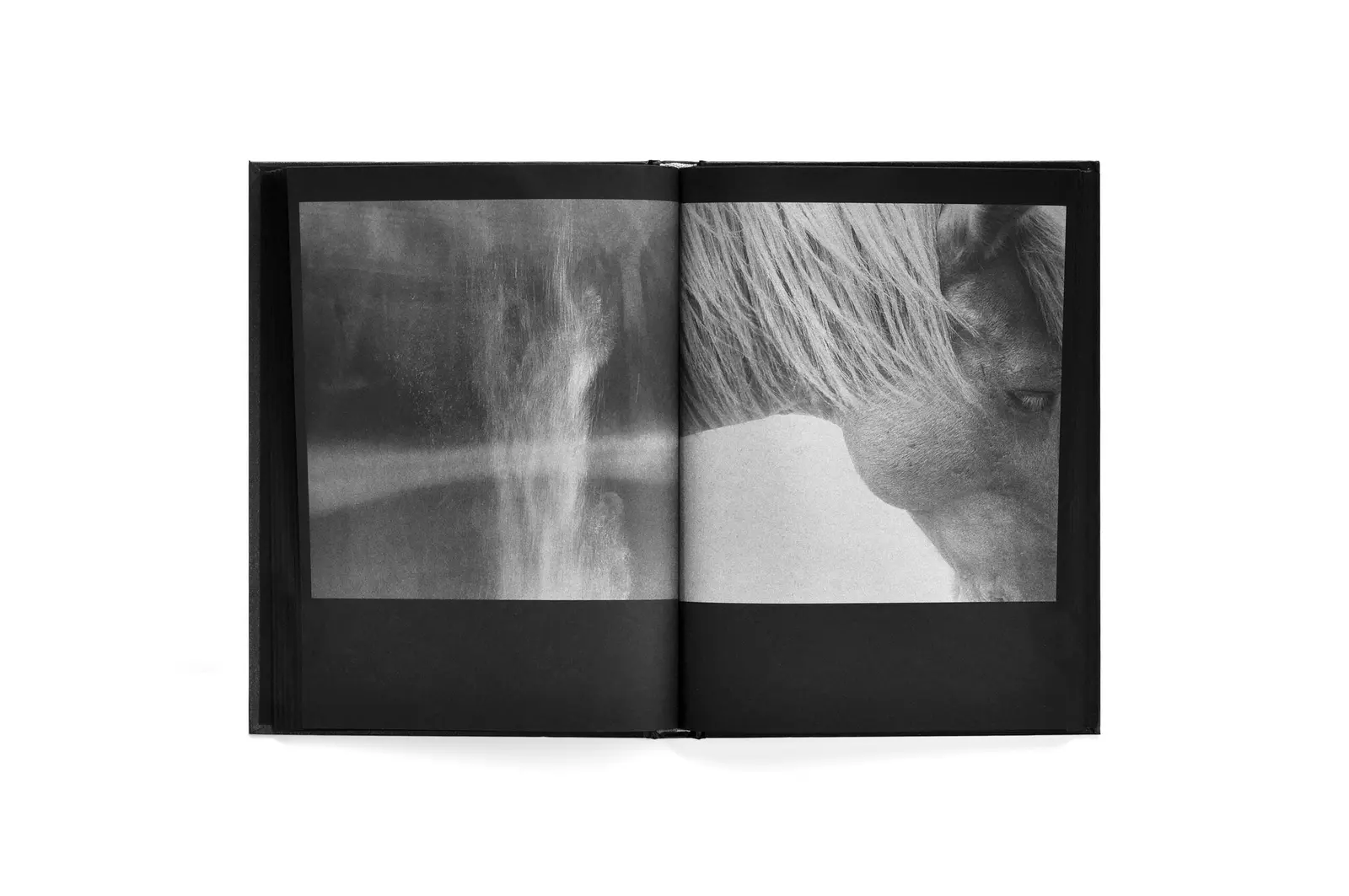Astres Noirs 2 image 6