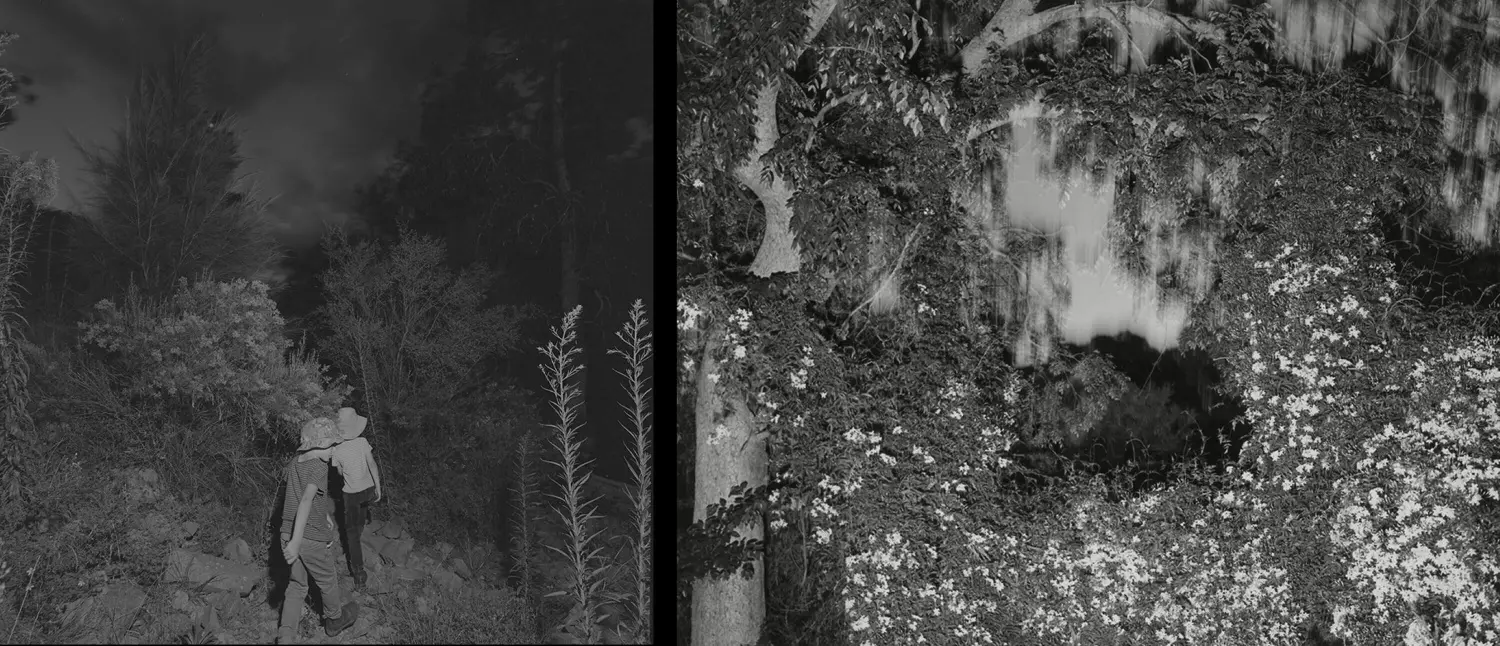 Nucleo image 7