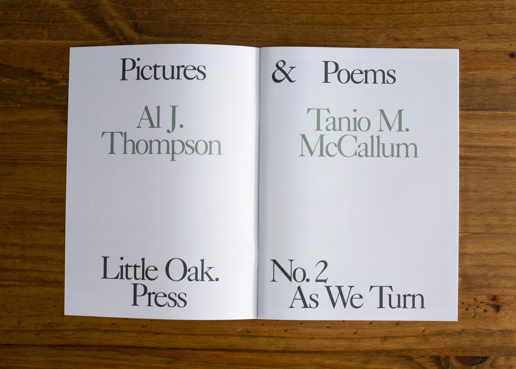 Pictures & Poems No. 02: As We Turn (Al J. Thompson & Tanio M. McCallum) image 3