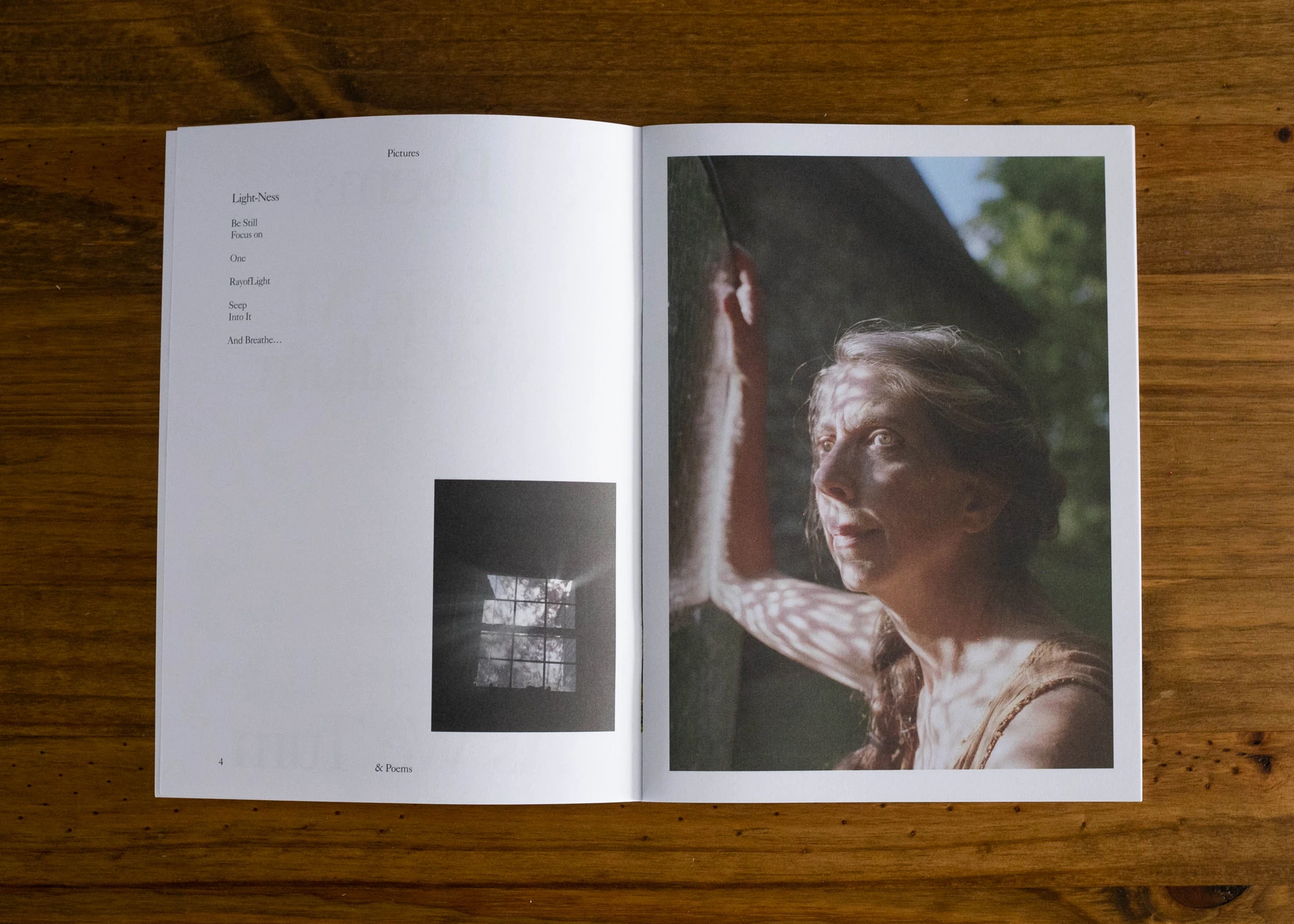 Pictures & Poems No. 02: As We Turn (Al J. Thompson & Tanio M. McCallum) image 4