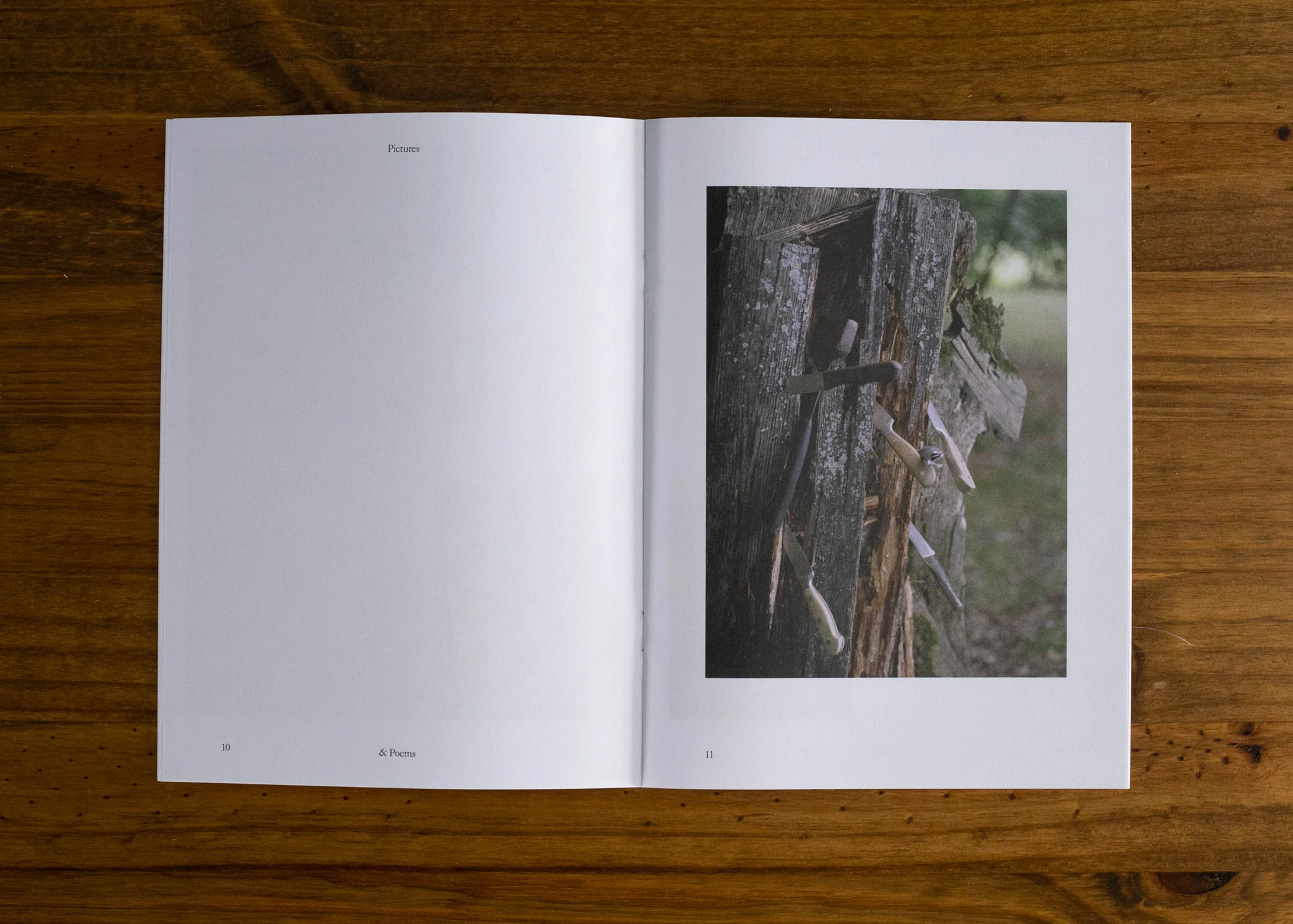 Pictures & Poems No. 02: As We Turn (Al J. Thompson & Tanio M. McCallum) image 5