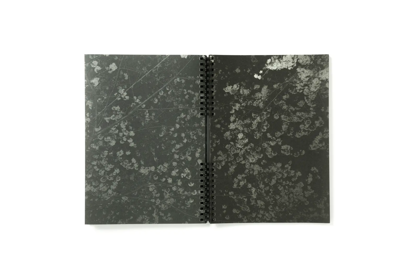 Sokohi image 7