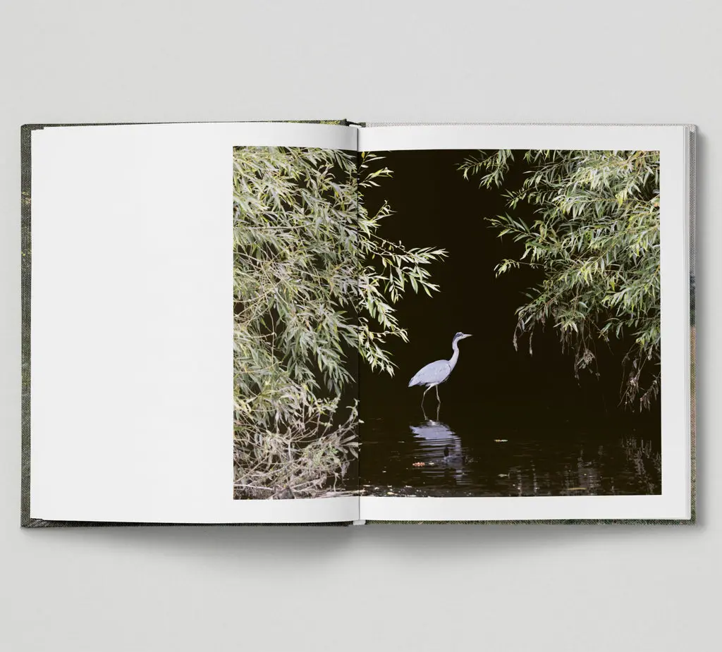 The Hackney Marshes image 7