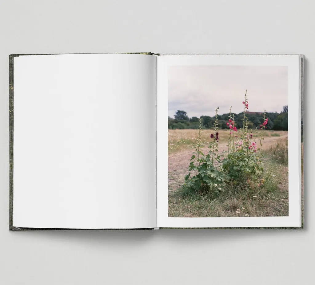 The Hackney Marshes image 8