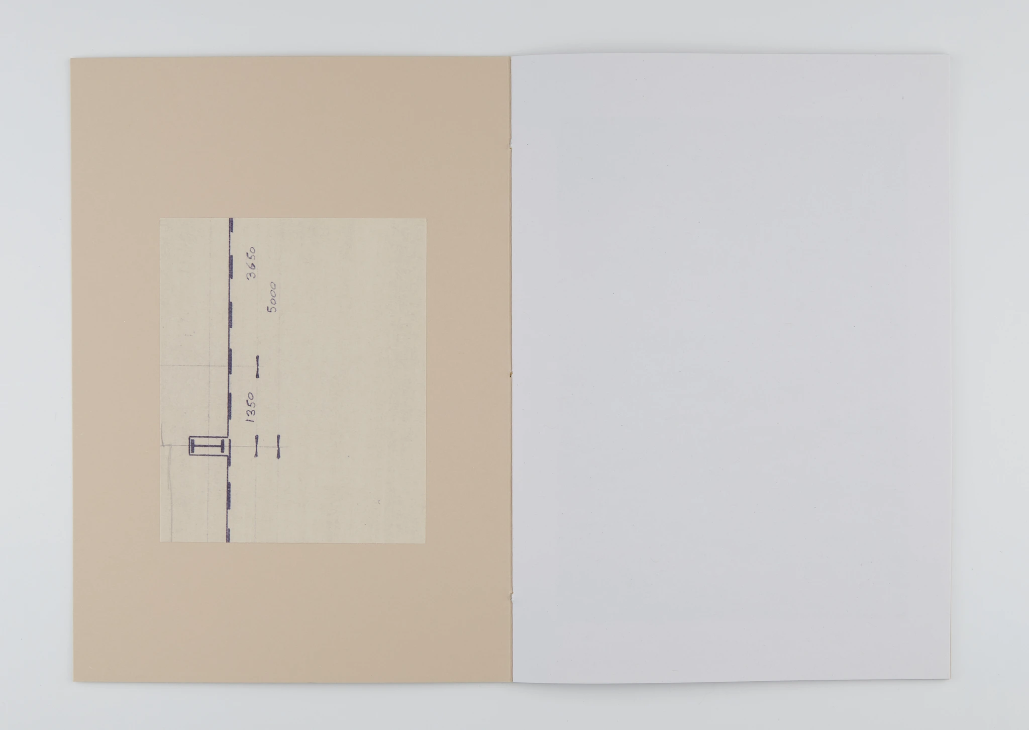 Orpheus image 2