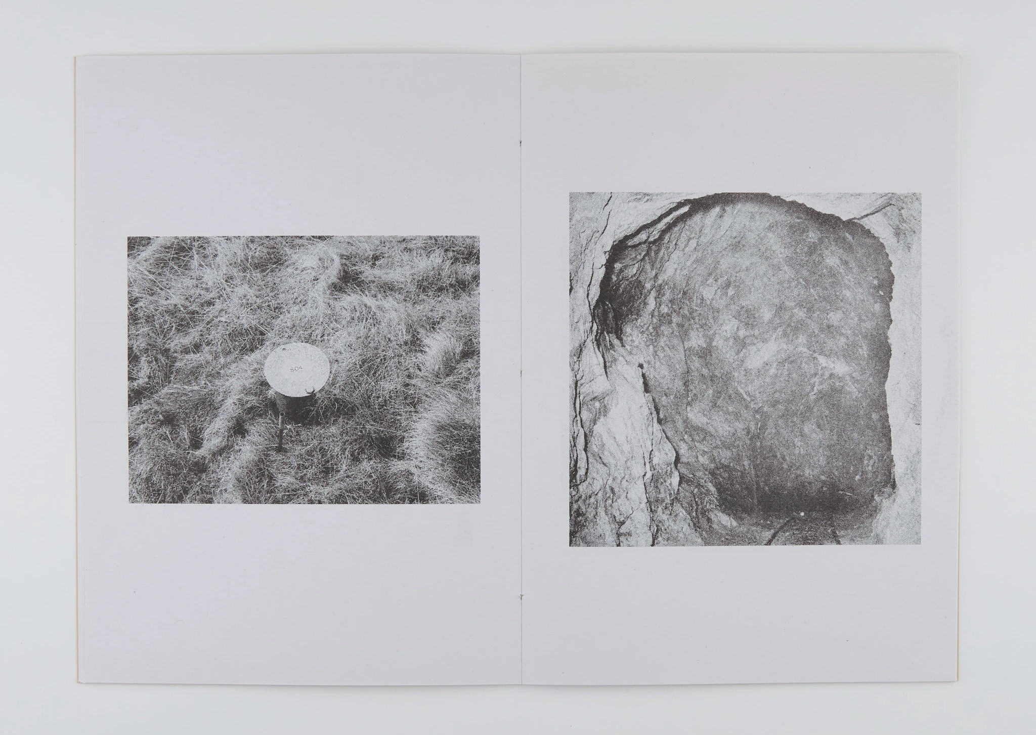 Orpheus image 7