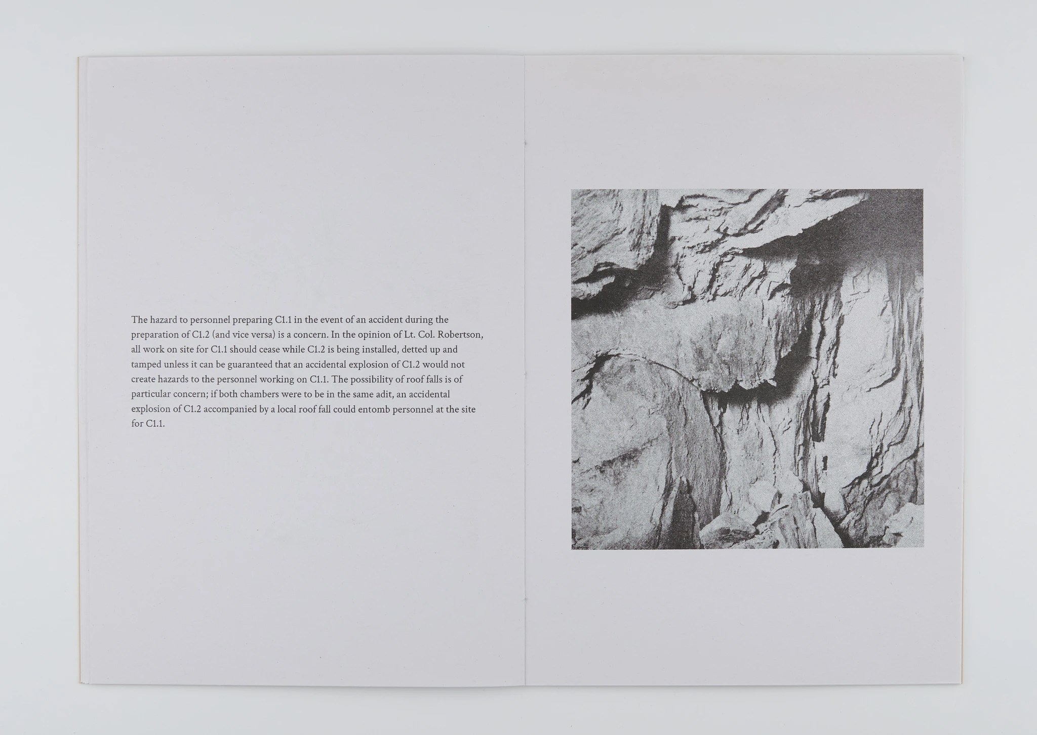 Orpheus image 10