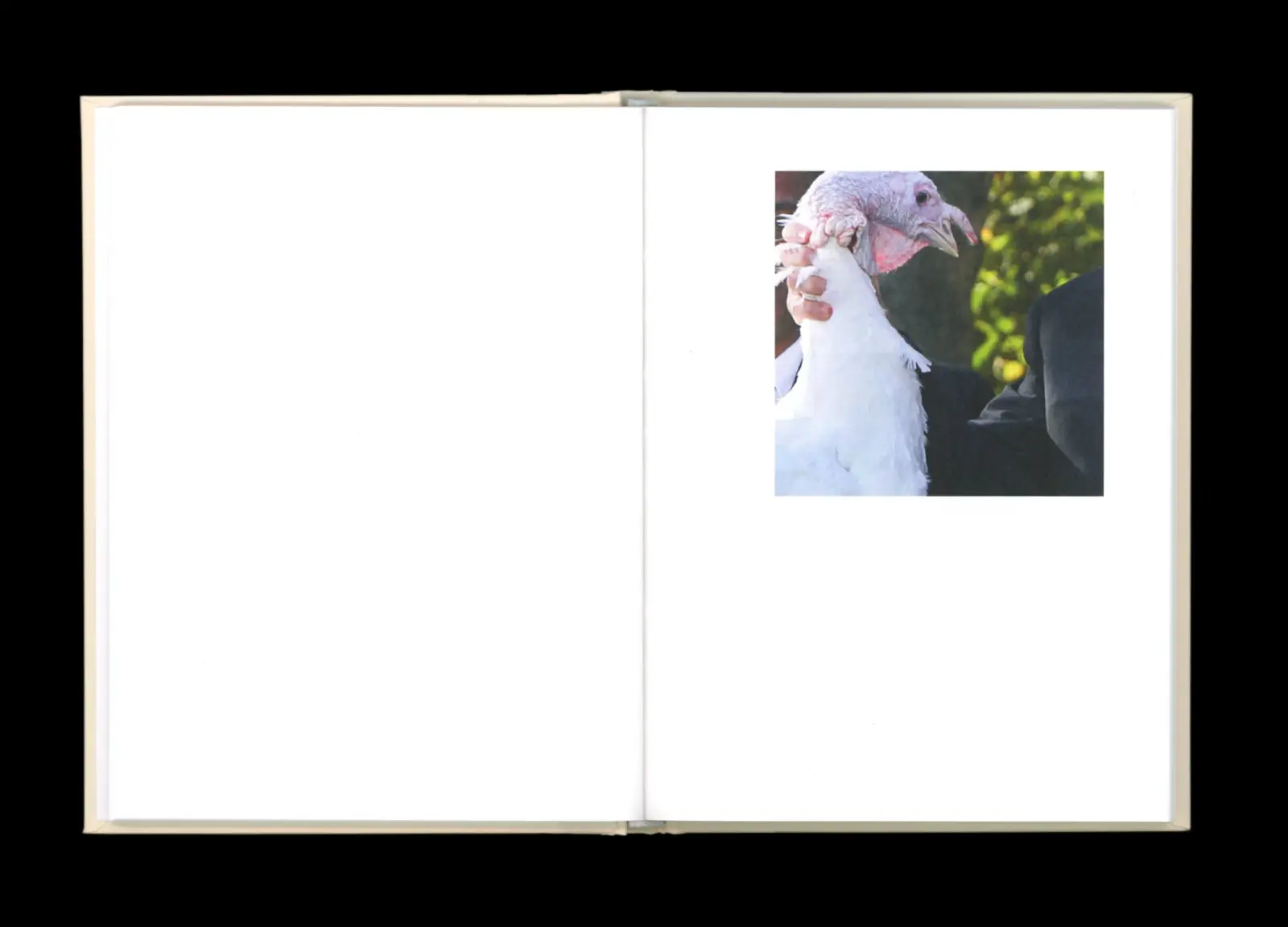 Pardon Me image 3