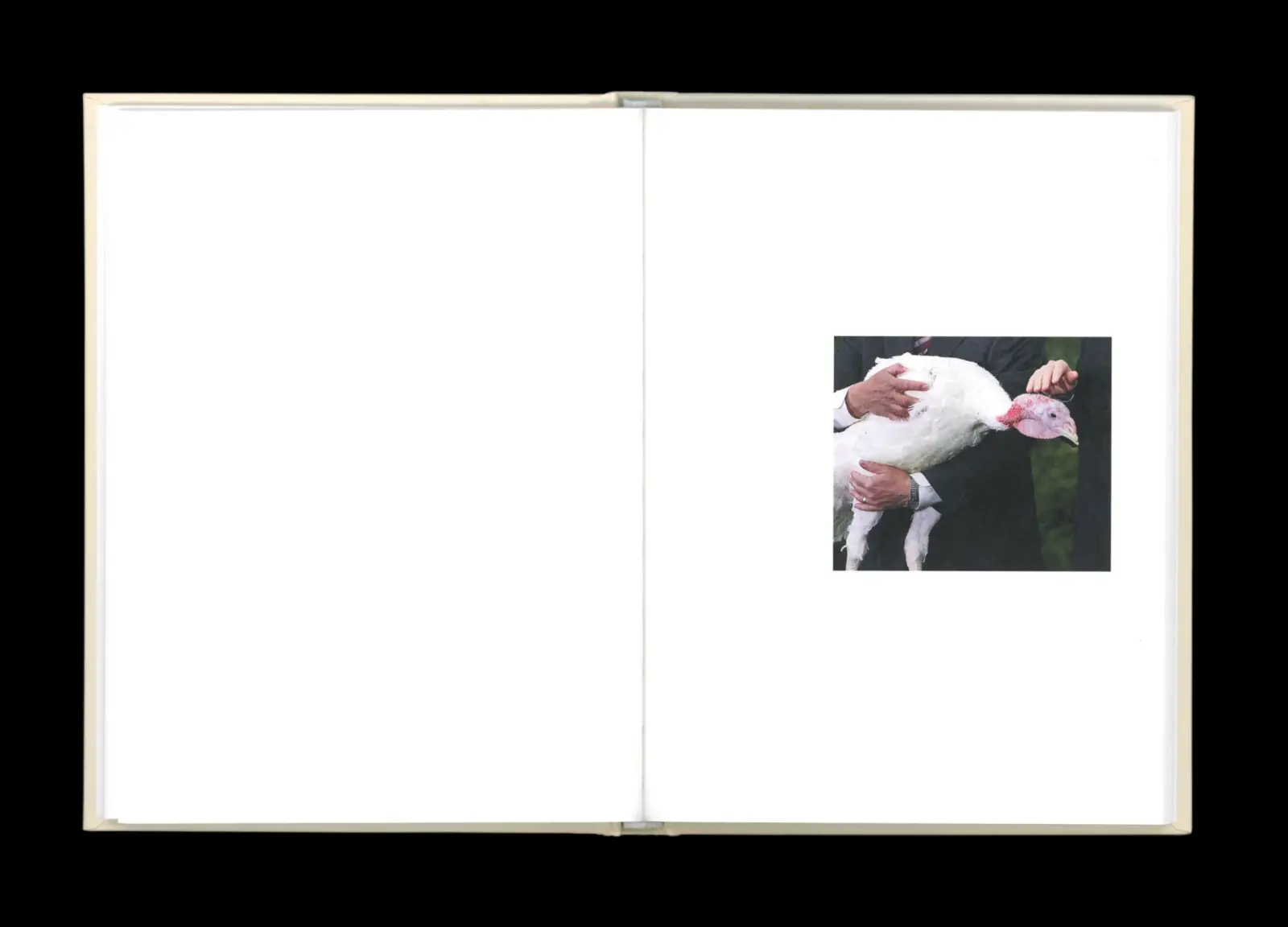 Pardon Me image 4