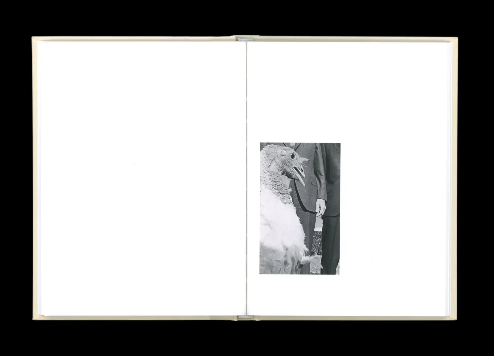 Pardon Me image 5