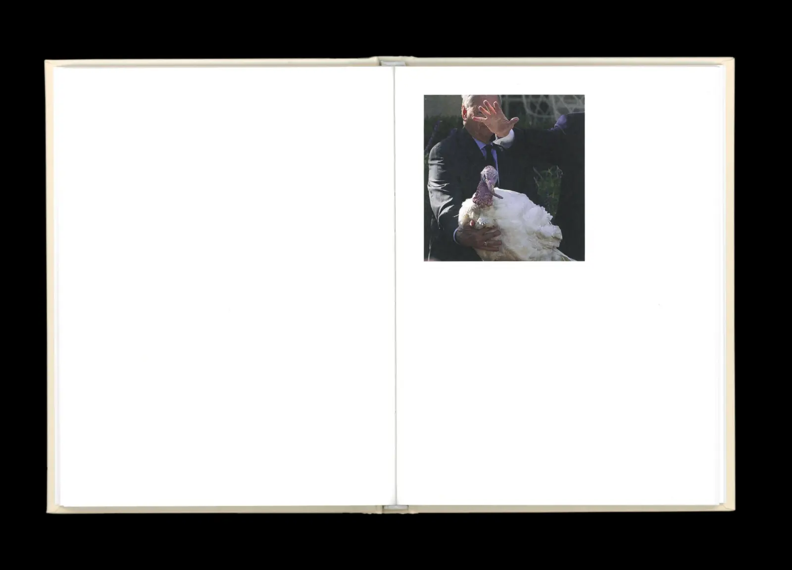 Pardon Me image 6