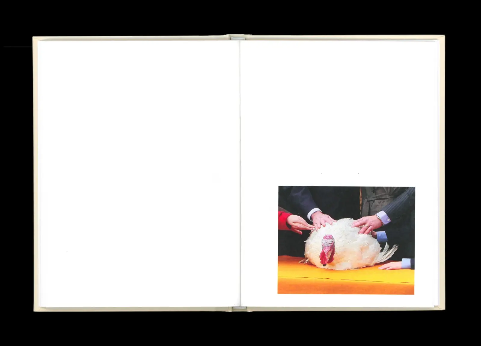Pardon Me image 7