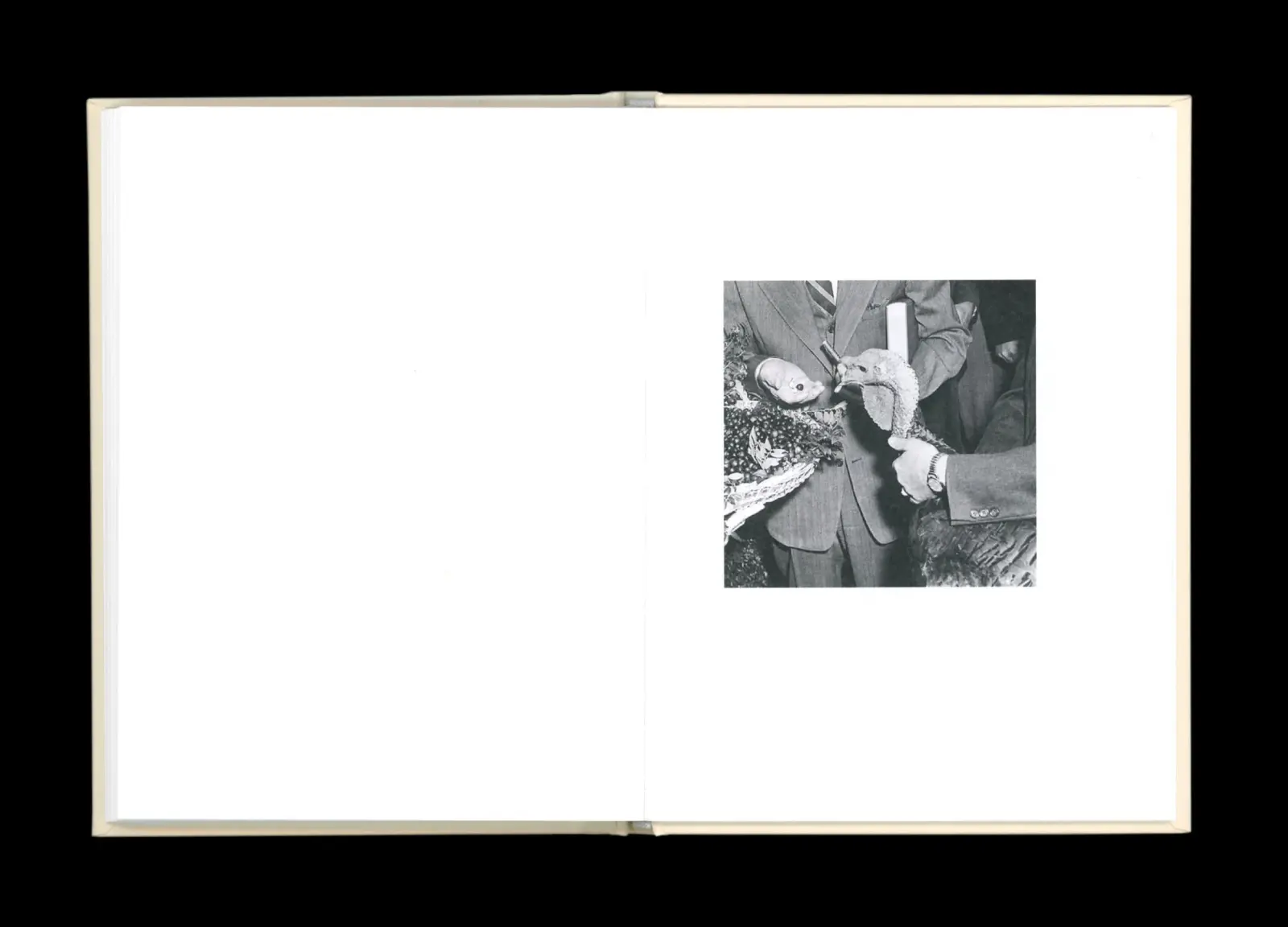 Pardon Me image 8