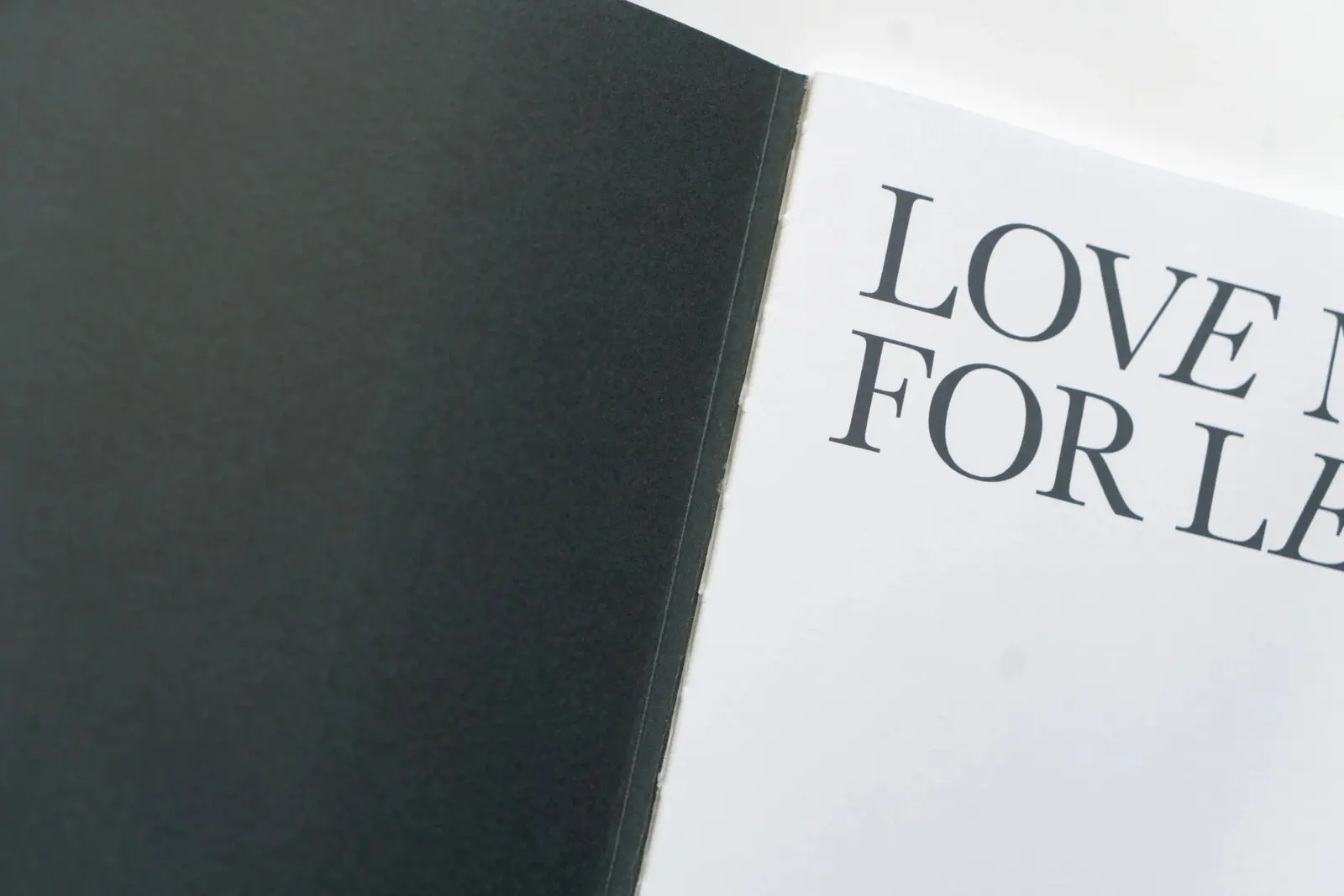 LOVE ME FOR LESS image 6
