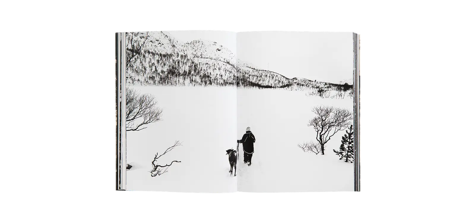 Yderst image 4