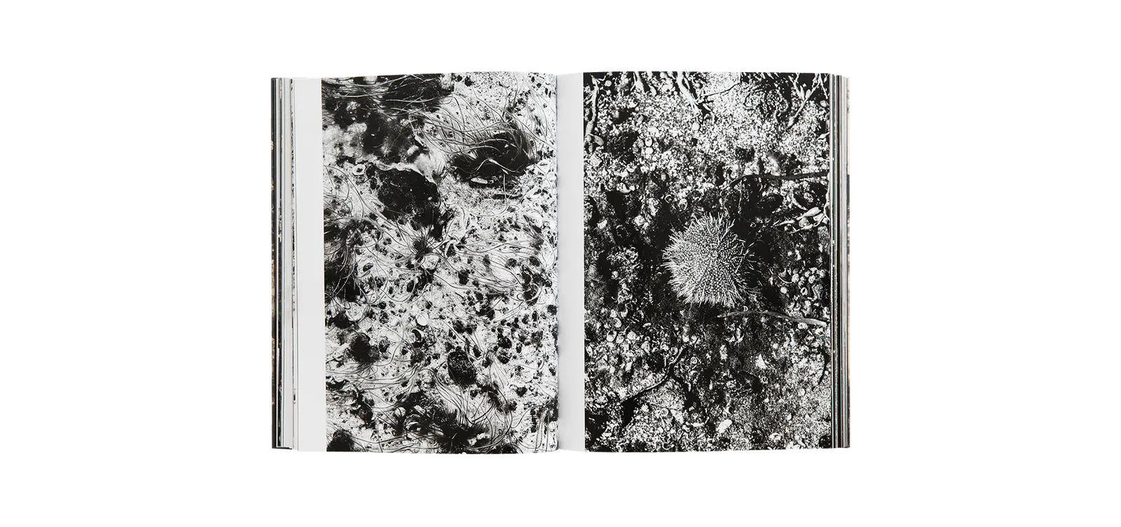 Yderst image 6