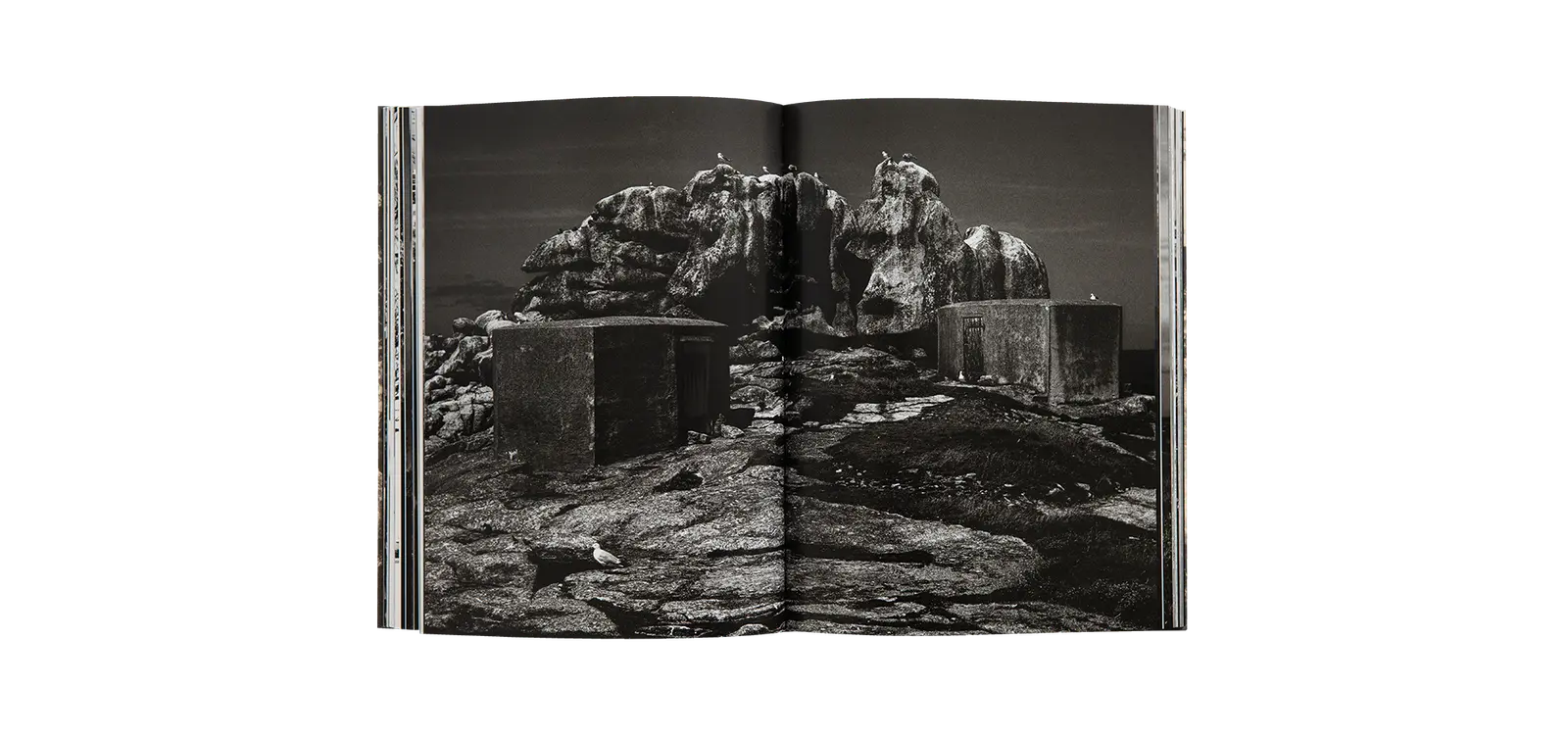 Yderst image 8