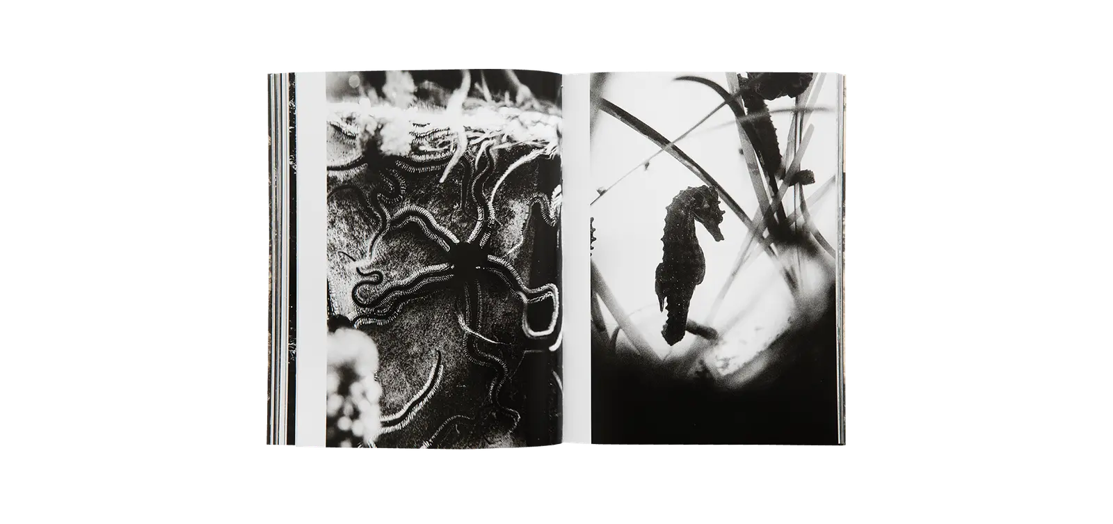 Yderst image 10