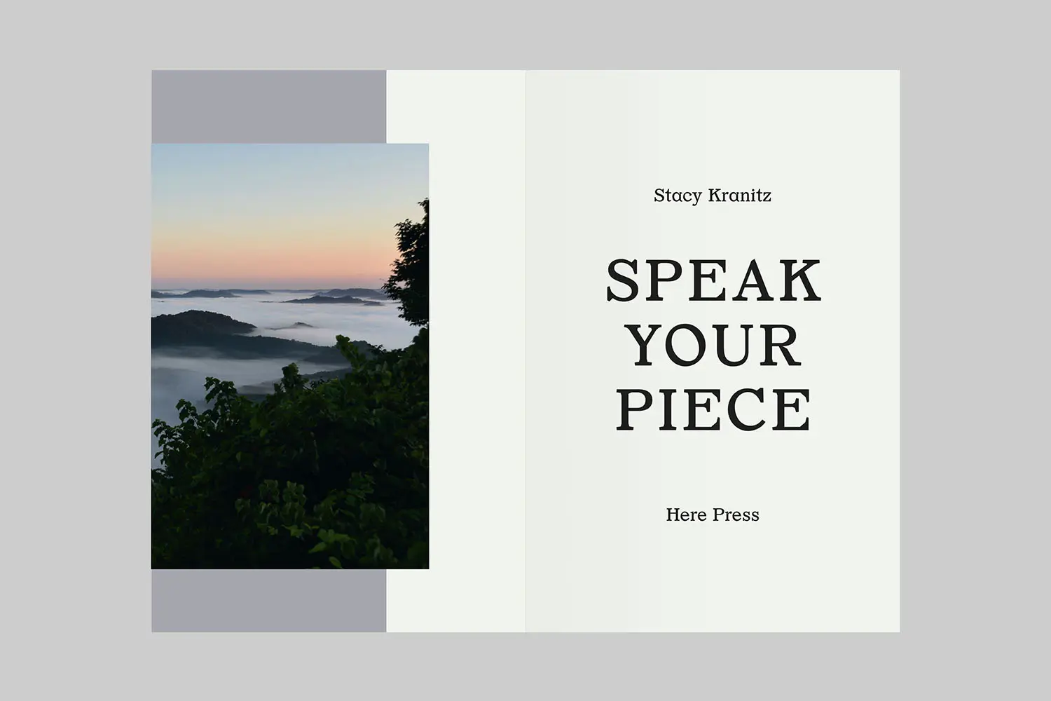 Speak Your Piece image 2