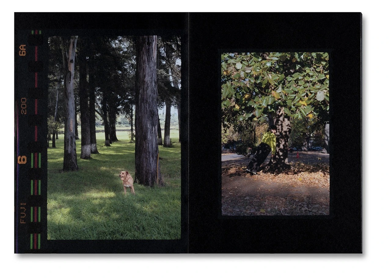 Small Death image 5