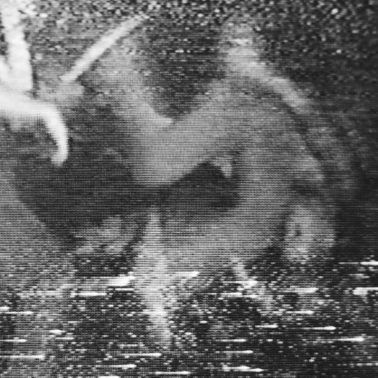 Trespasser