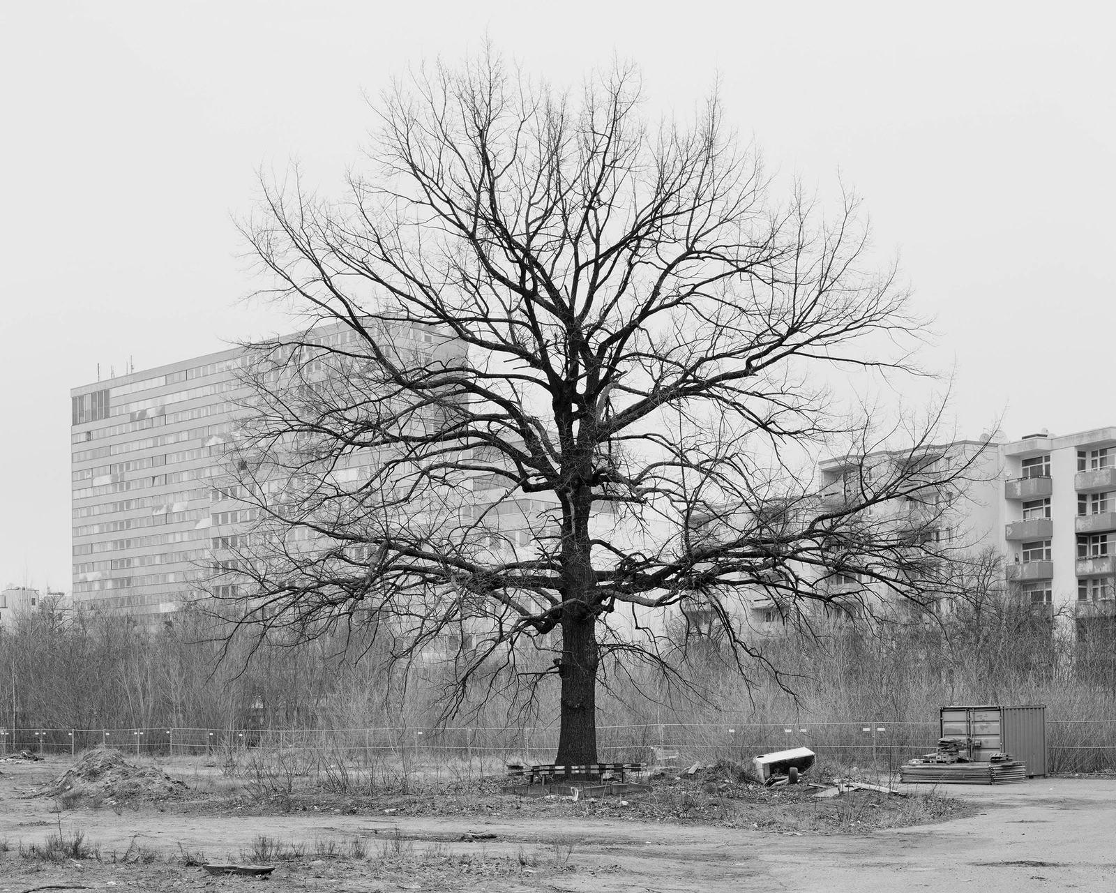 Andreas Gehrke